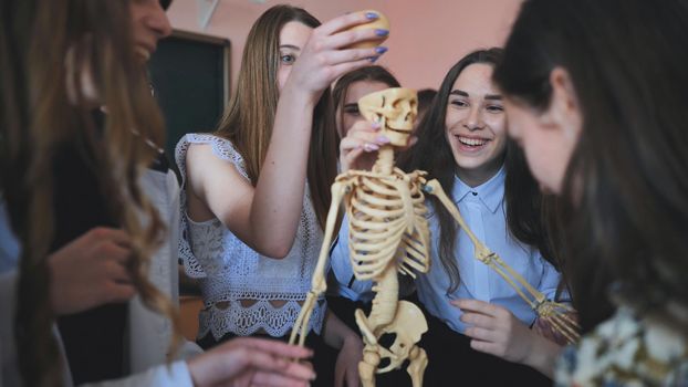 Cheerful students examine the human skeleton in the classroom