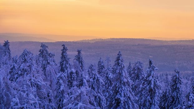 Majestic sunset in the mountains landscape. Carpathian, Ukraine.