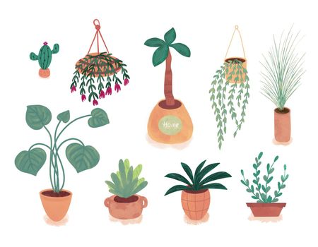 Plant in pot illustration set, indoor potted decorative house plants for interior home or office decoration. Hygge and scandinavian design plants in pots