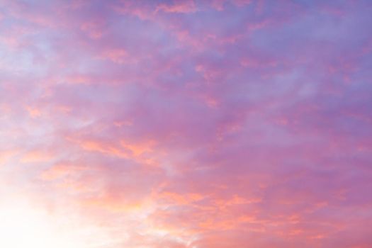 Colorful pink clouds in the sky at sunrise or sunset. Natural natural background.