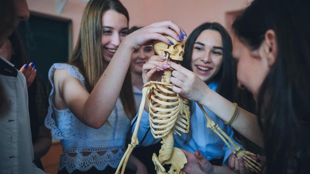 Cheerful students examine the human skeleton in the classroom