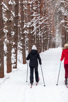 Two girls in a black and red jacket are skiing in winter in a snow-covered forest on a ski trail. Trees in a row.. Rear view. Skiing in a beautiful snowy forest in the cold. beautiful winter nature