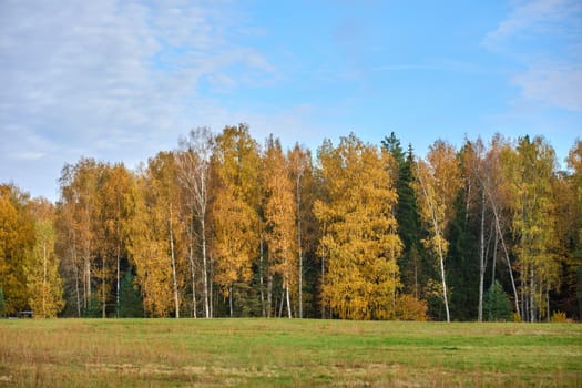 Stunning autumn time colours in Russia. High quality photo