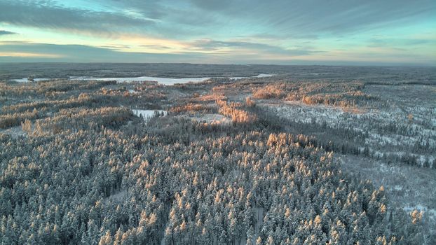 Beautiful sunbeams in winter that touch the treetops . High quality photo