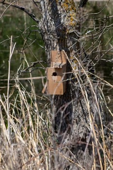 Man made bird house on tree in Nebraska country . High quality photo