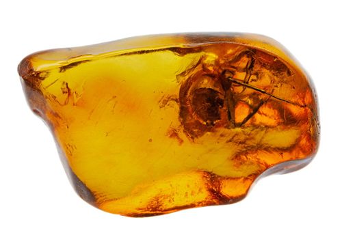 Spider inclusion in yellow transparent natural amber. Macro photography.