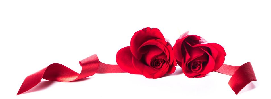 Two heart shaped red roses and ribbons isolated on white background, Valentines day