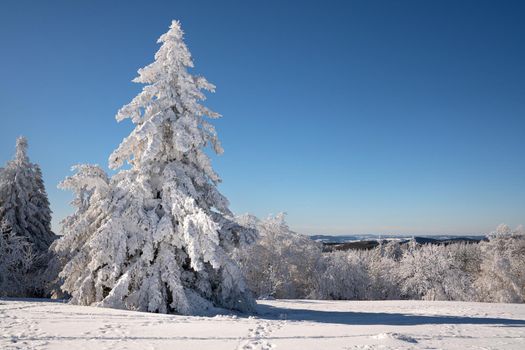 Panoramic landscape image of Kahler Asten during wintertime, Sauerland, Germany