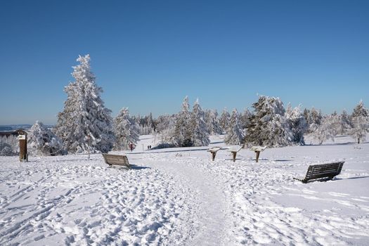 Panoramic landscape image of Kahler Asten during wintertime, Sauerland, Germany