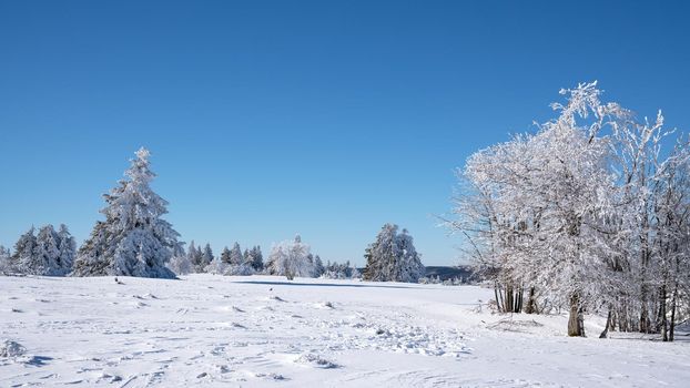 Panoramic landscape image of Kahler Asten during wintertime, Sauerland, Germany