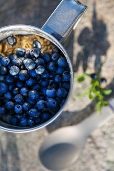A metal mug full of blueberries, on a stone, in a forest, in the mountains in the open air. With a spoon and a branch of blueberry