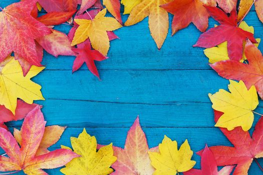 Autumn leaves on a wooden background of blue color, around the perimeter of the frame. Autumn frame for your idea and text. In the fall, the fallen dry leaves of yellow, red, orange color lined around the perimeter of the frame on an old wooden plank of pale blue. Model of autumn