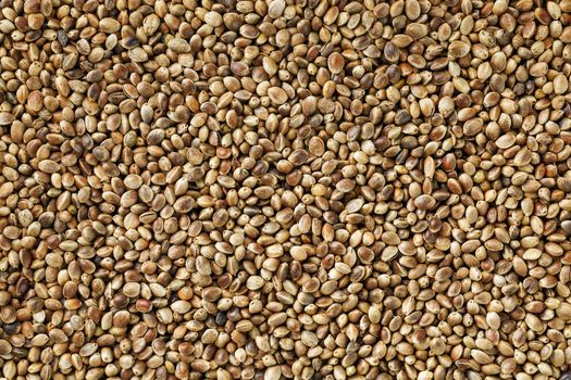 Organic Hemp seeds. Close up. Space for text