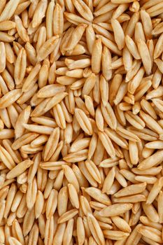 natural oat grains background, closeup, vegetarian food