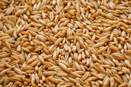 natural oat grains background, closeup, vegetarian food