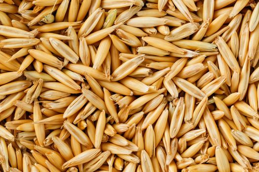 natural oat grains background, closeup, vegetarian food