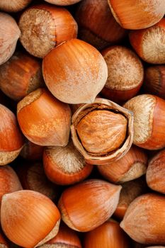 Hazelnuts. Stack of hazelnuts. Food background. Hazelnut background. Hazelnuts in shells background, peeled nut