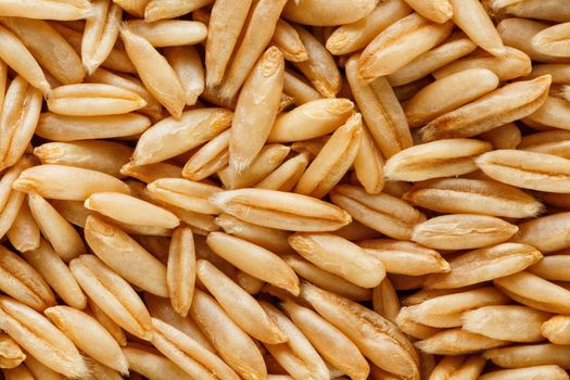 natural oat grains background, closeup, vegetarian food