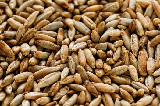 Natural oat grains background, closeup, vegetarian food