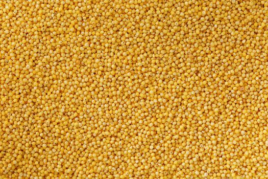 Yellow millet background. Healthy grains vegetarianism. Macro