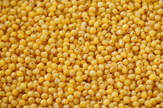 Yellow millet background. Healthy grains vegetarianism. Macro