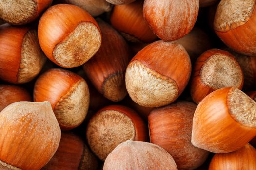 Dried unshelled hazelnuts seeds of Whole nuts as background. Hazelnuts. Stack of hazelnuts. Food background. Hazelnut background. Hazelnuts in shells background