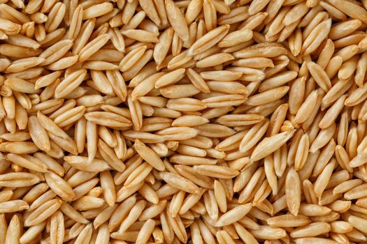 natural oat grains background, closeup, vegetarian food