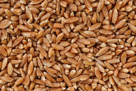Natural background of a grain of cereal seeds, close-up. vegetarian food.