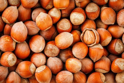 Hazelnuts. Stack of hazelnuts. Food background. Hazelnut background. Hazelnuts in shells background, peeled nut