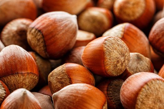 Dried unshelled hazelnuts seeds of Whole nuts as background. Hazelnuts. Stack of hazelnuts. Food background. Hazelnut background. Hazelnuts in shells background