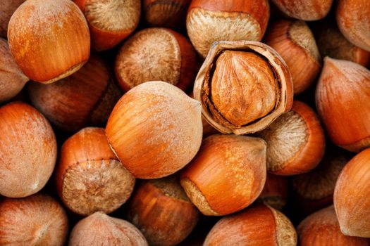 Hazelnuts. Stack of hazelnuts. Food background. Hazelnut background. Hazelnuts in shells background, peeled nut