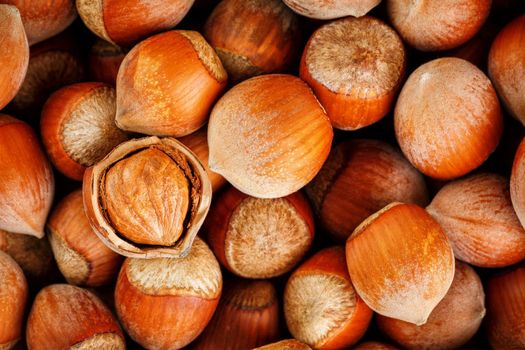 Hazelnuts. Stack of hazelnuts. Food background. Hazelnut background. Hazelnuts in shells background, peeled nut