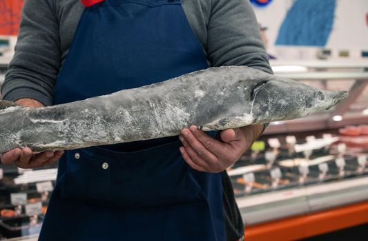 Male fishmonger or fish market worker holding large sturgeon fish