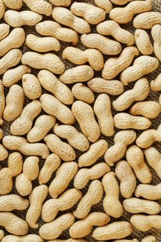 Peanuts in their food texture background. Golden shell roasted peanuts. Organic Vegan Protein Source.