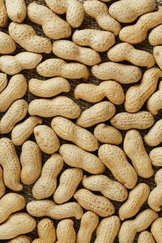 Peanuts in their food texture background. Golden shell roasted peanuts. Organic Vegan Protein Source.