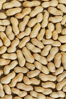 Peanuts in their food texture background. Golden shell roasted peanuts. Organic Vegan Protein Source.