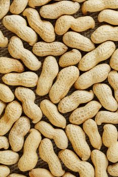 Peanuts in their food texture background. Golden shell roasted peanuts. Organic Vegan Protein Source.