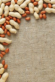 Peanut in shell and peeled peanuts closeup. Background with peanuts. Roasted peanuts in a shell and peeled on a brown fabric background.