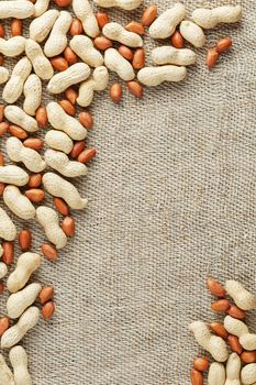 Peanut in shell and peeled peanuts closeup. Background with peanuts. Roasted peanuts in a shell and peeled on a brown fabric background.