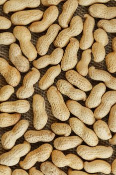 Peanuts in their food texture background. Golden shell roasted peanuts. Organic Vegan Protein Source.