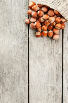 Hazelnuts in a cover, poured out from a bag from burlap on a gray wooden table. Organic New Received. In healthy vegetarian super food