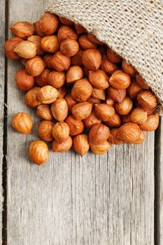 Chiselled hazelnuts in a bag of burlap on a gray wooden table. Organic Fresh Harvested. Without shell healthy vegetarian super food.