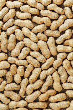 Peanuts in their food texture background. Golden shell roasted peanuts. Organic Vegan Protein Source.