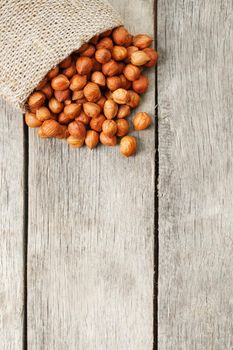 Chiselled hazelnuts in a bag of burlap on a gray wooden table. Organic Fresh Harvested. Without shell healthy vegetarian super food.