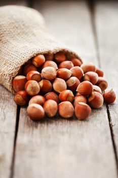 Hazelnuts in a cover, poured out from a bag from burlap on a gray wooden table. Organic New Received. In healthy vegetarian super food. Vertical shot