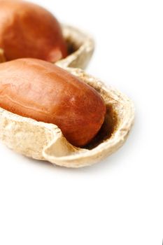 Peanuts isolated on white background. Peeled Peel and Scarlup Macro Peanuts.