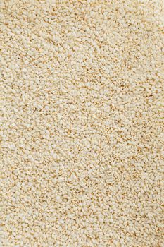 White sesame seeds background. Useful seeds for cooking.