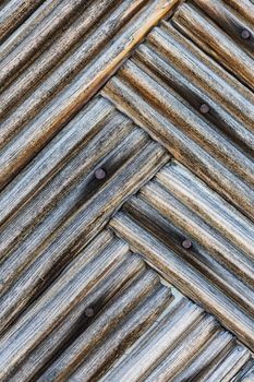 Surface eroded by time,Old wood background, plant