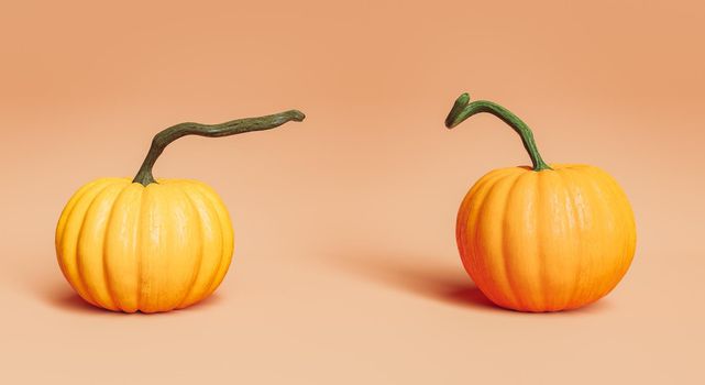 two realistic pumpkins with long stems on pastel background in autumn concept. 3d rendering