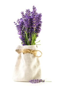 Aromatic Lavender flowers bundle on a white background. Isolated morning Lavender flowers close-up